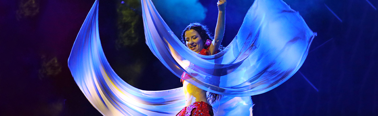 Постер Новогодние праздники в Волгограде