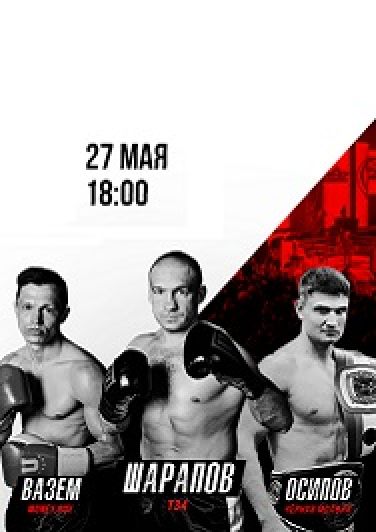 Профессиональный бокс VICTORY TEAM №17 Профессиональный бокс VICTORY TEAM №17