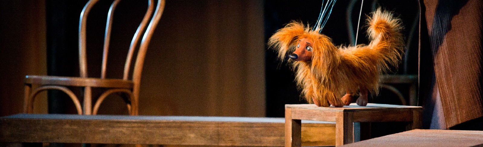 Каштанка Фото афиши Каштанка.