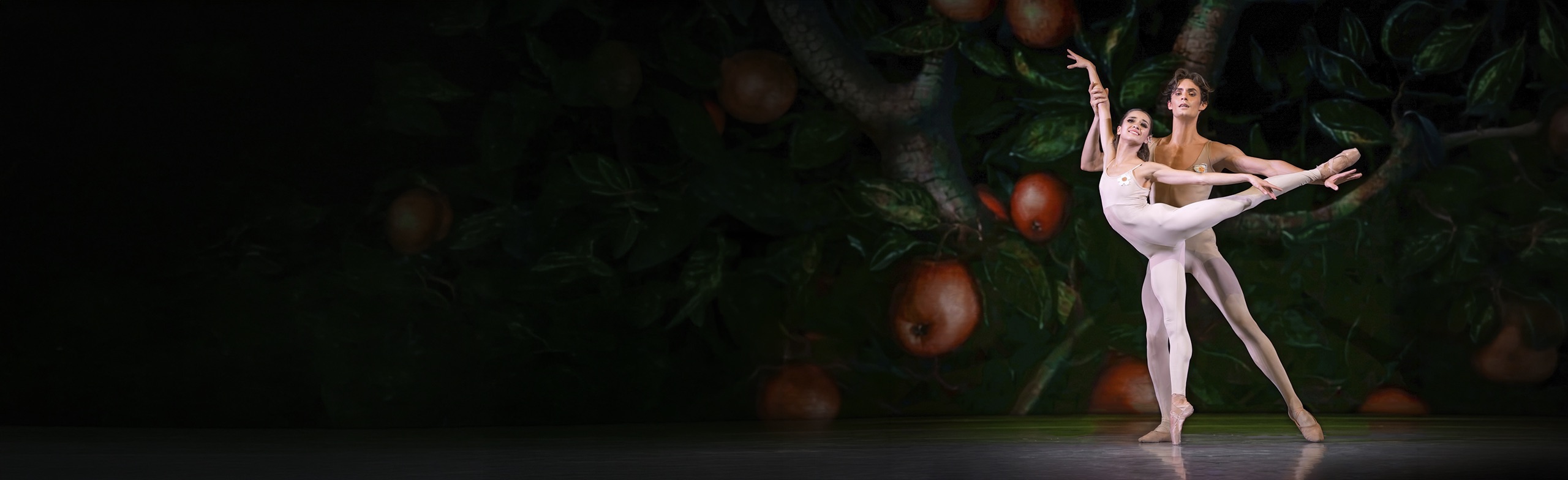 Сотворение мира. Балетный спектакль