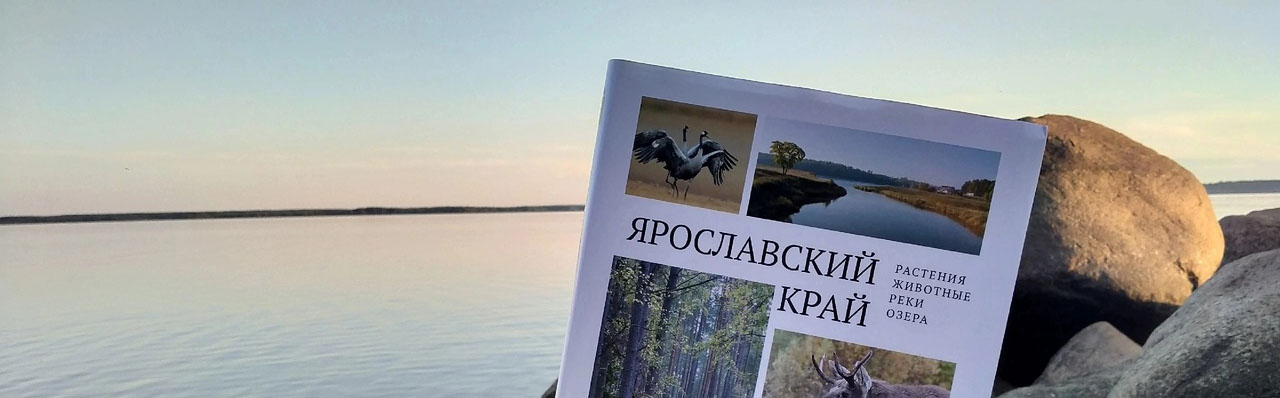 Заповедные места Ярославского края. Краеведческое путешествие